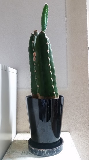 20171008_185214.jpg