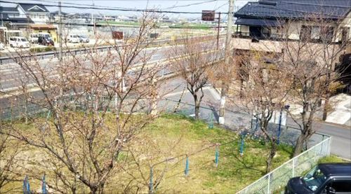 2018桜3.jpg