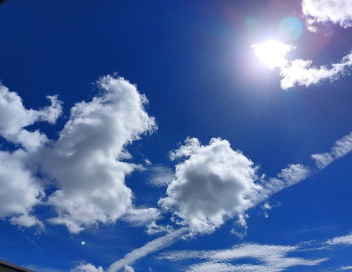20230901_100953.jpg