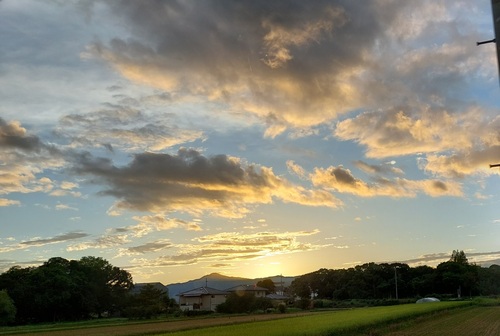 20230906_180220.jpg