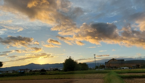 20230906_180453.jpg