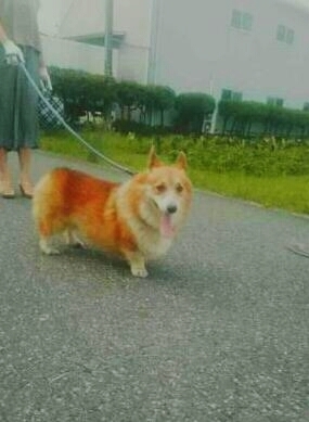 ア−ル2.jpg
