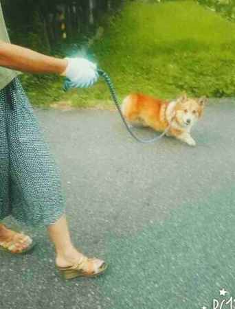 ア−ル3.jpg