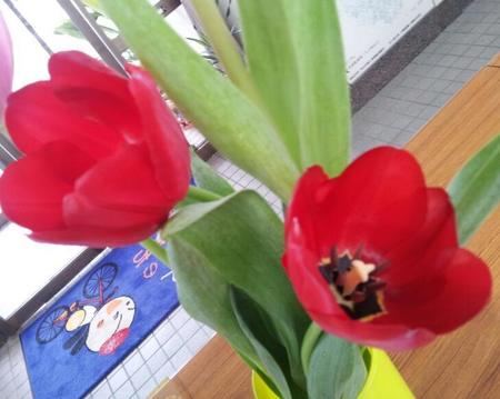 玄関 花3.jpg