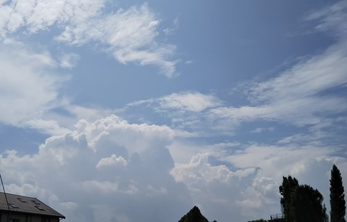 IMG_20190821_114400.jpg